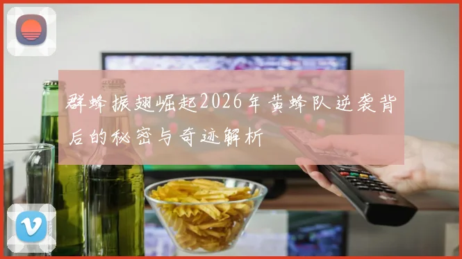 群蜂振翅崛起2026年黄蜂队逆袭背后的秘密与奇迹解析