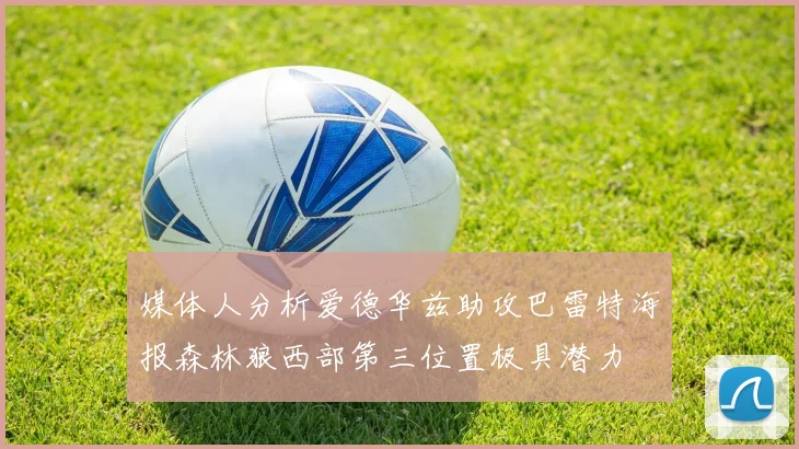 媒体人分析爱德华兹助攻巴雷特海报森林狼西部第三位置极具潜力