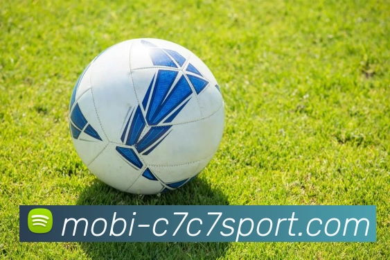 App Interface Preview